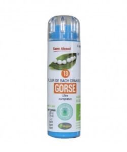 Ajonc - Gorse (n°13) SANS ALCOOL BIO, 130 granules